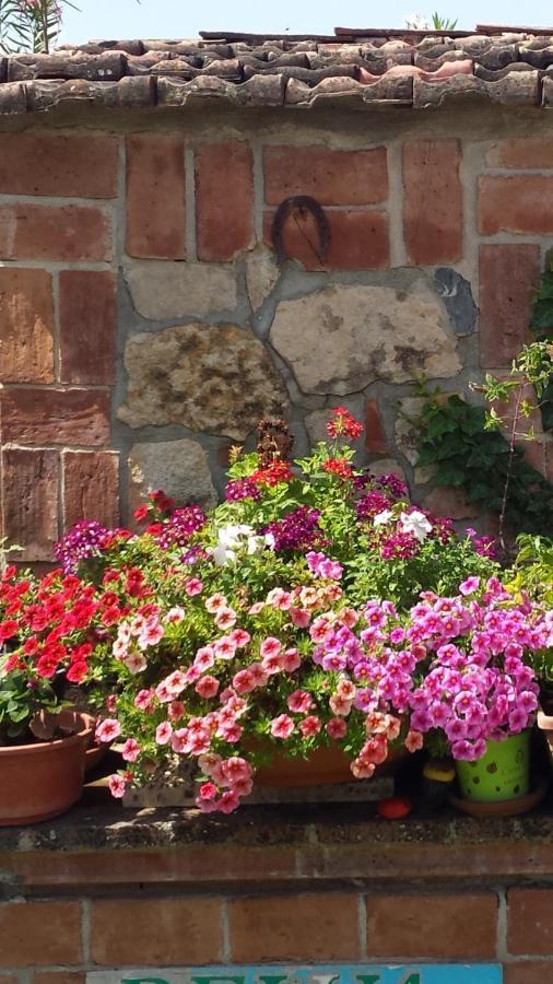 アモロージ Nerium House Relax Bed & Breakfast エクステリア 写真