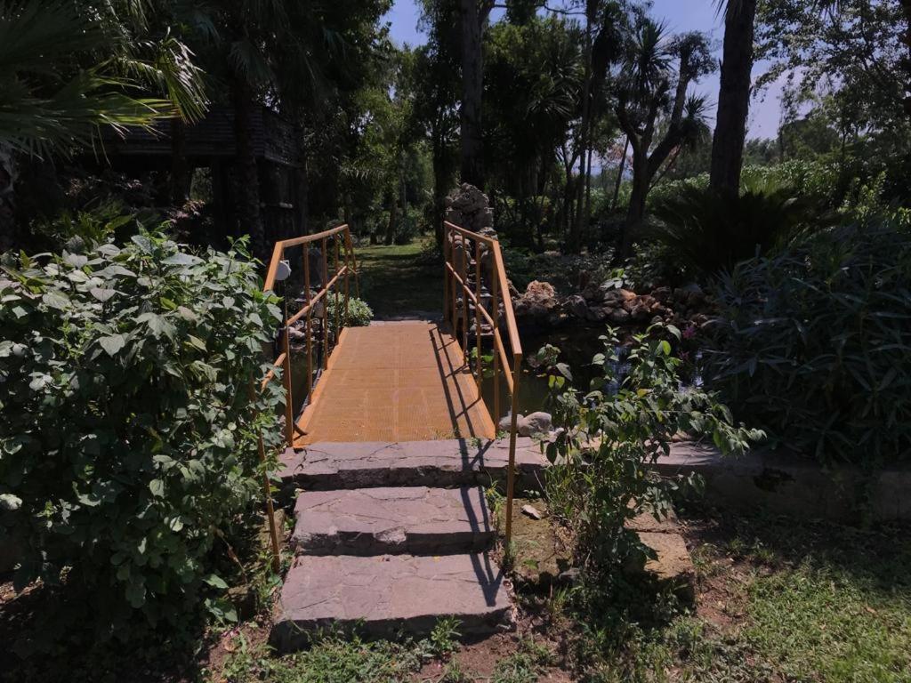 アモロージ Nerium House Relax Bed & Breakfast エクステリア 写真